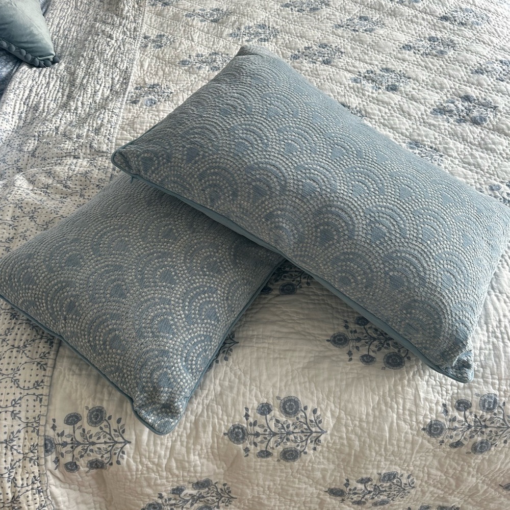 Elegant Blue Patterned Pillow Set
